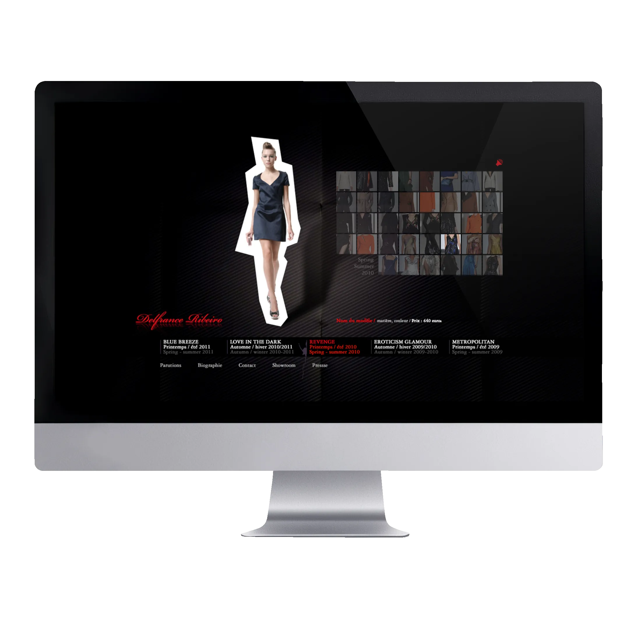 Site web de Delfrance Ribeiro