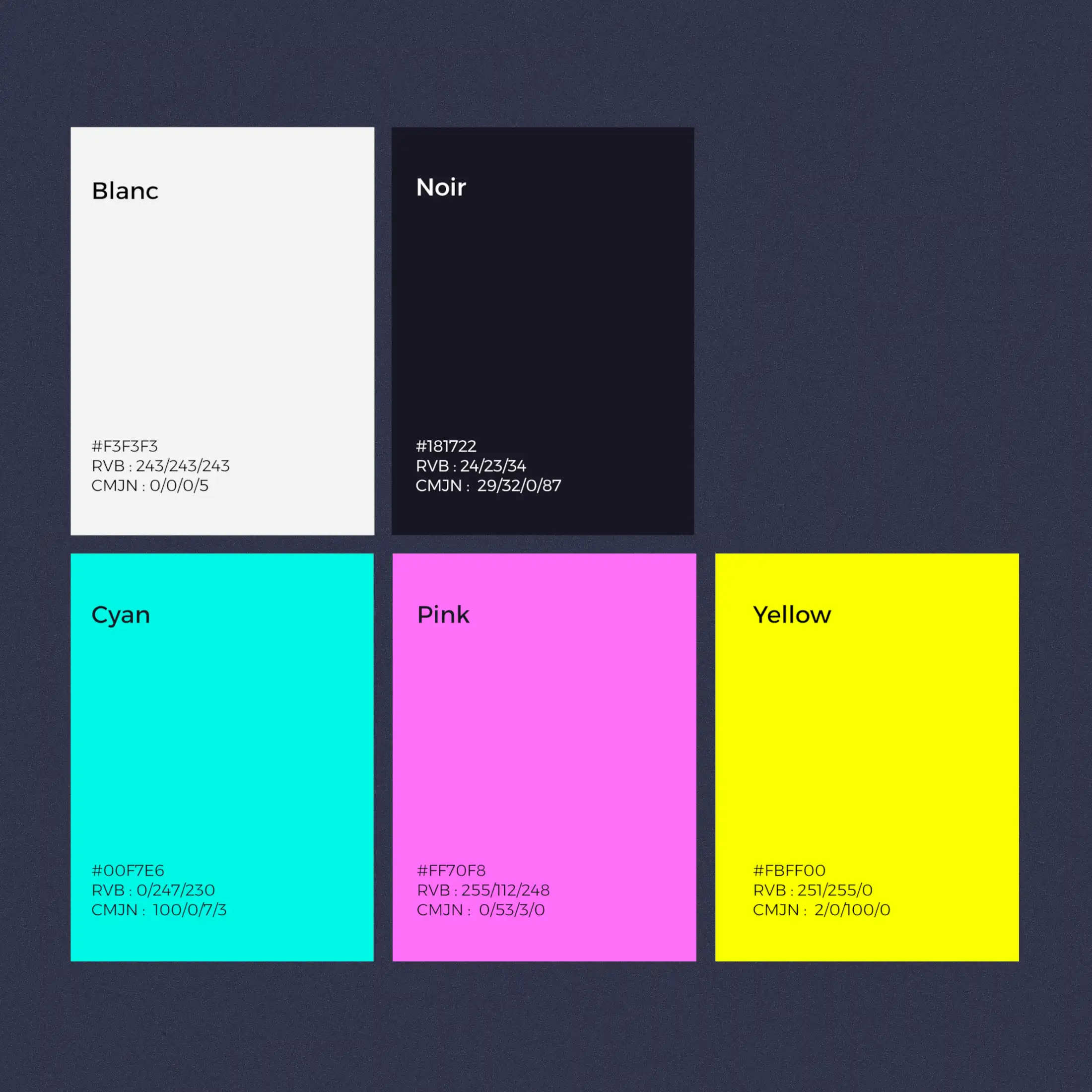 Couleurs du projet Noxy