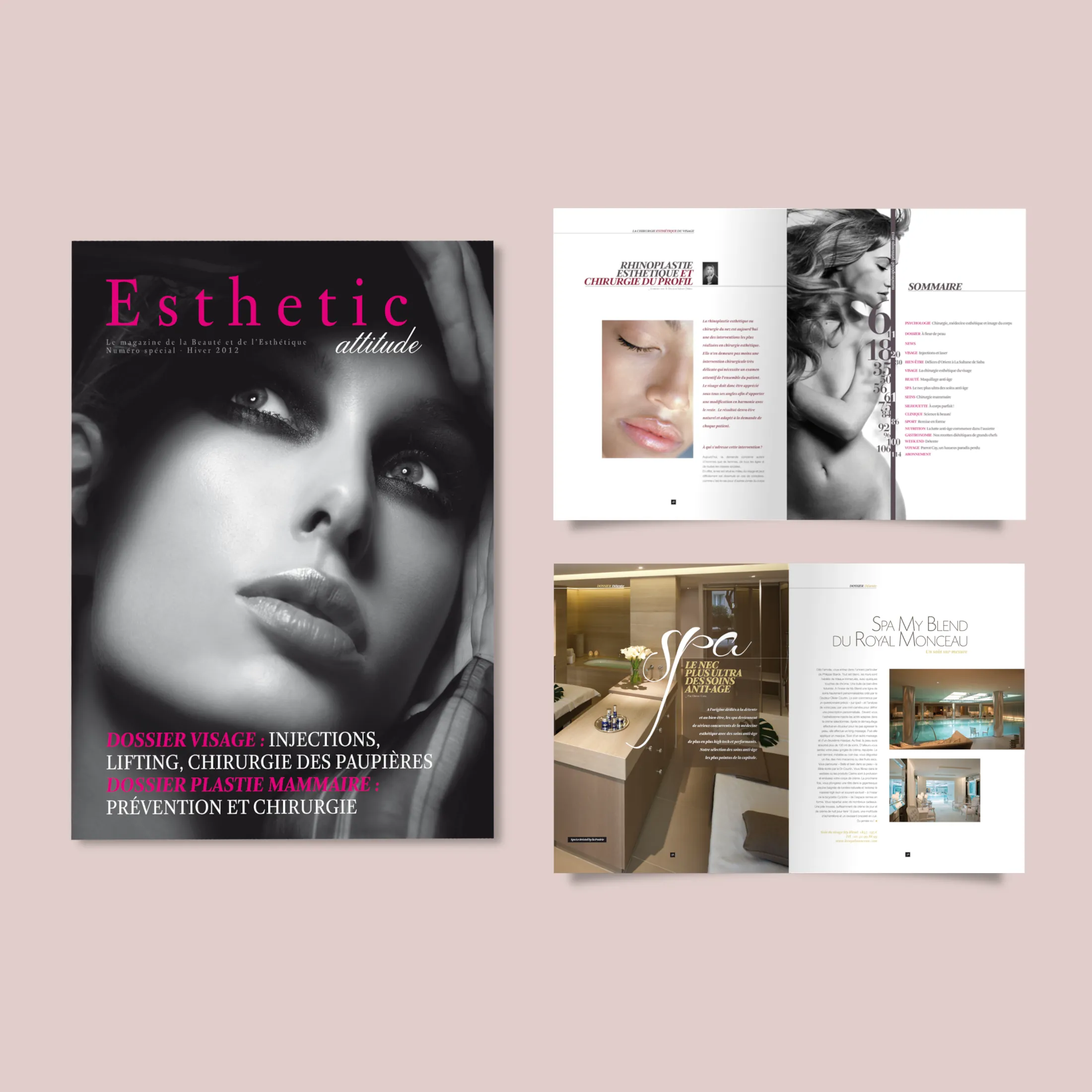 Magazine Esthetic Attitude